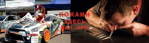 дмт Арсеньев