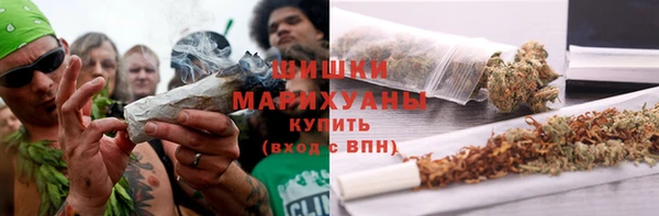 дмт Арсеньев