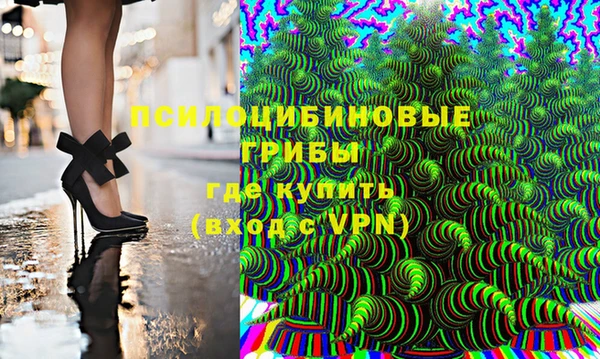 тгк Аркадак