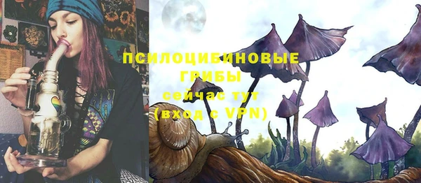 тгк Аркадак