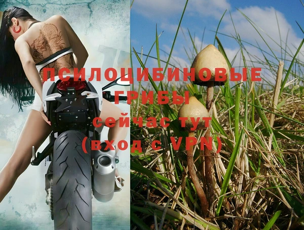мефедрон мука Солнечногорск