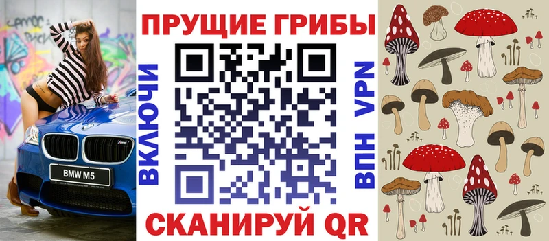 Галлюциногенные грибы MAGIC MUSHROOMS  купить наркотики цена  Цивильск 
